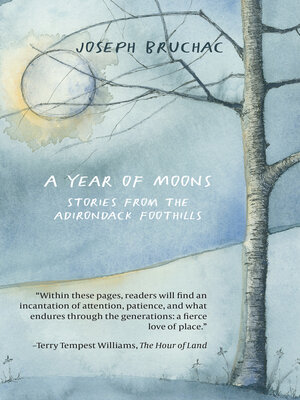 cover image of A Year of Moons